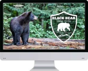 black bear social media