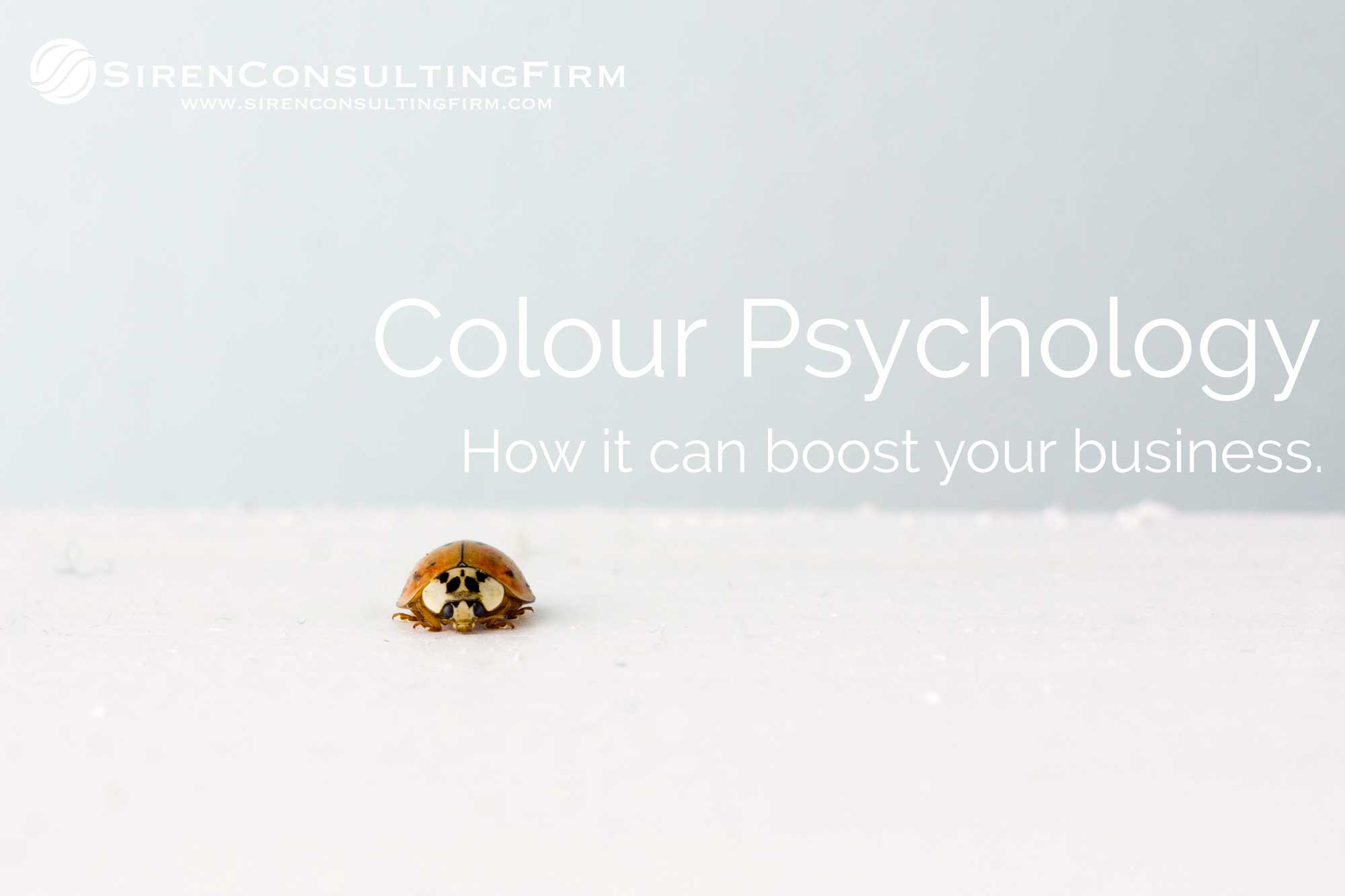 Colour Psychology: How It Can Boost Your Business